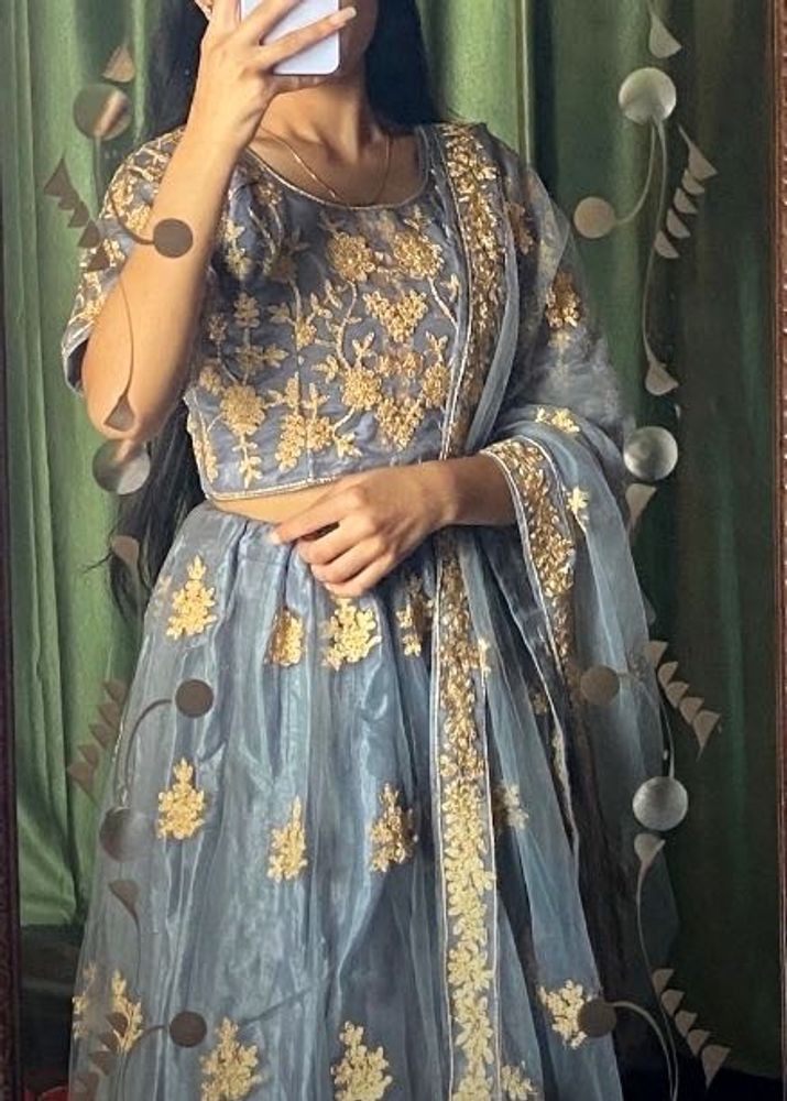 Elegant Grey &amp; Gold Embroidered Lehenga Choli