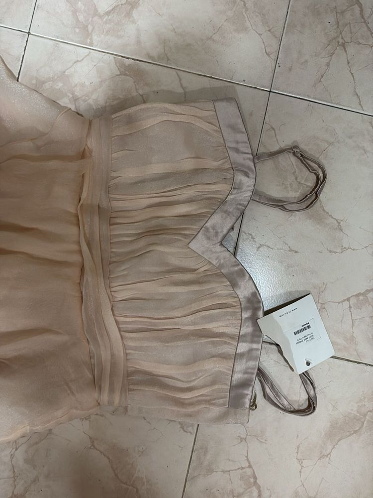 shimmery nude dress