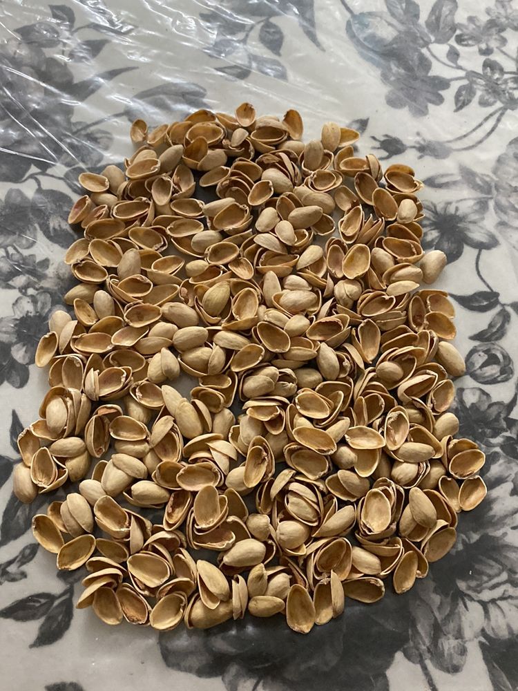 Pista Shells