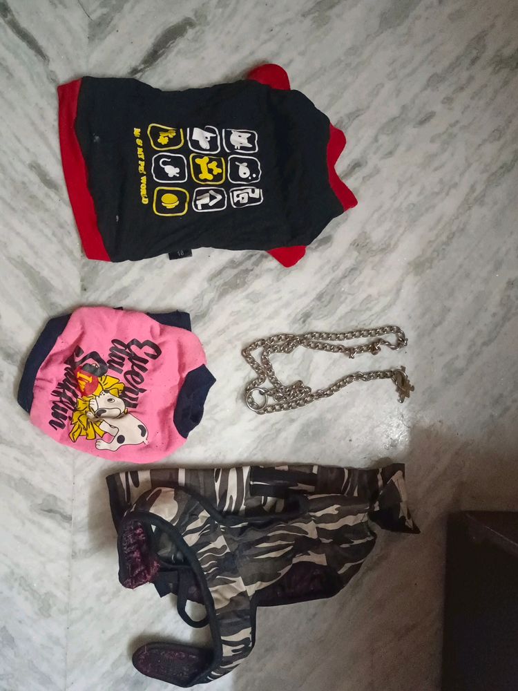 Dog Clothes