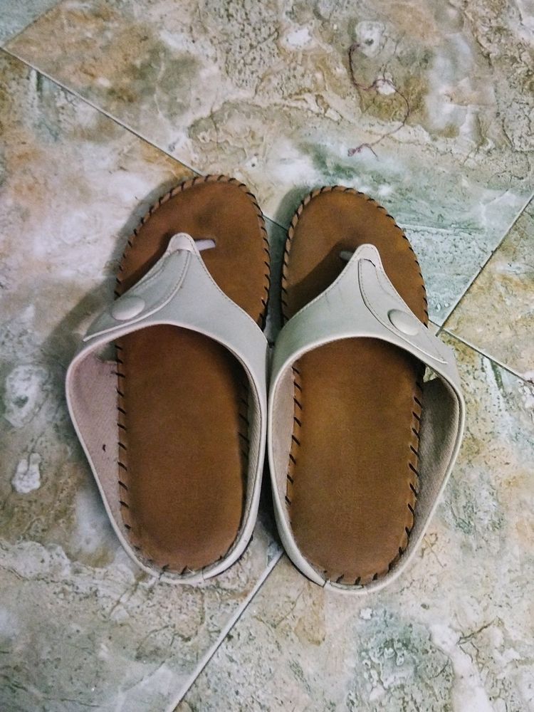 Slipper Sponge
