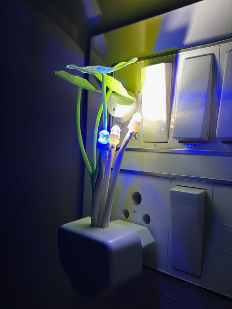 Novelty Plug-in Night Light
