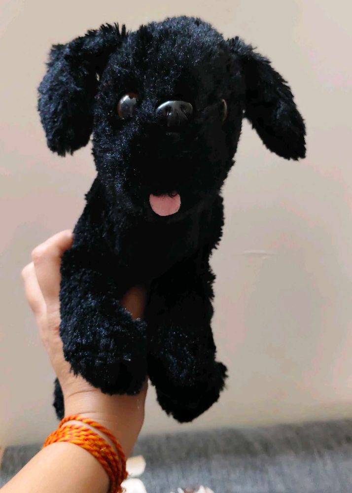 Cute Black Dog Plush Toy