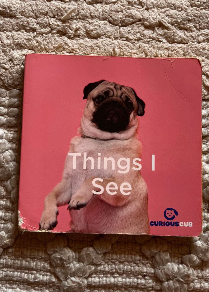 Things I See Board Book