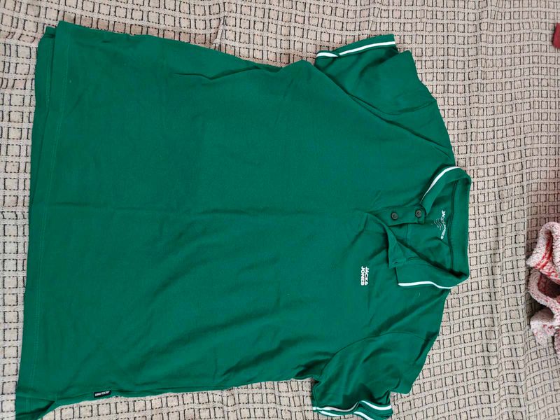 3 Men's Green Polo T-Shirt