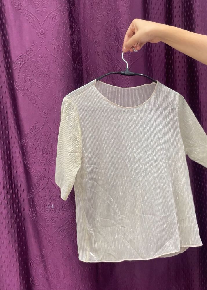 Pleated Sheer Sleeve Top