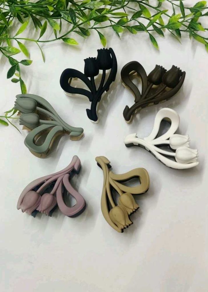 Hair accessories combo of 10 clips