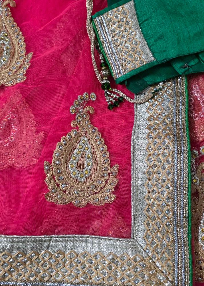 Pink net saree with blouse and satin peticot