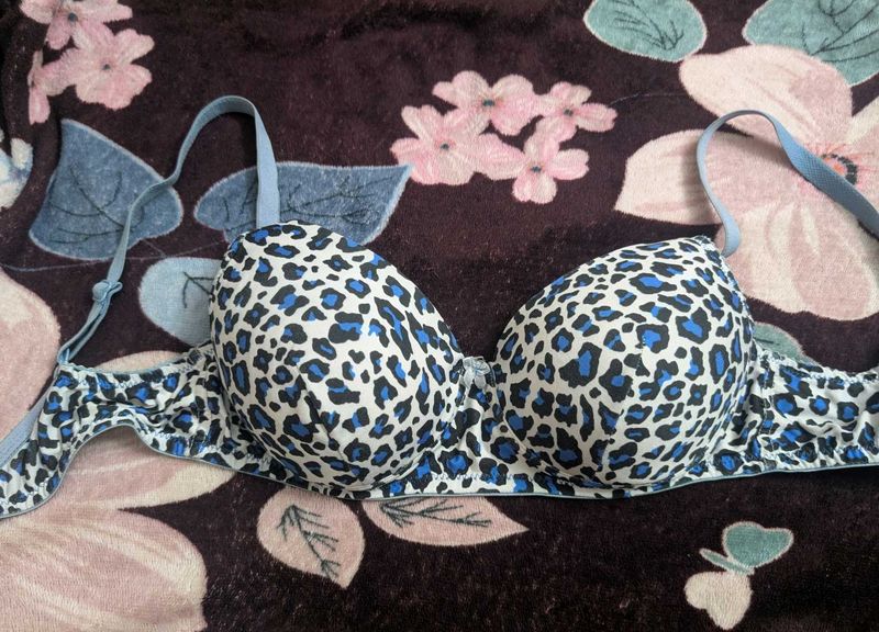 Blue leopard printed bra