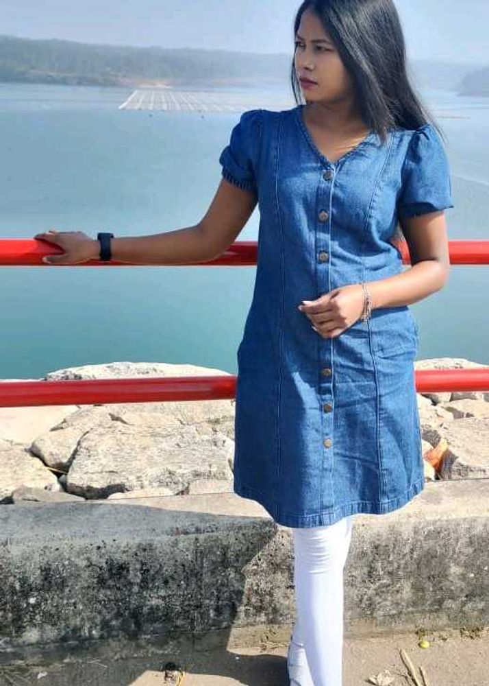 Denim Button-Down Dress