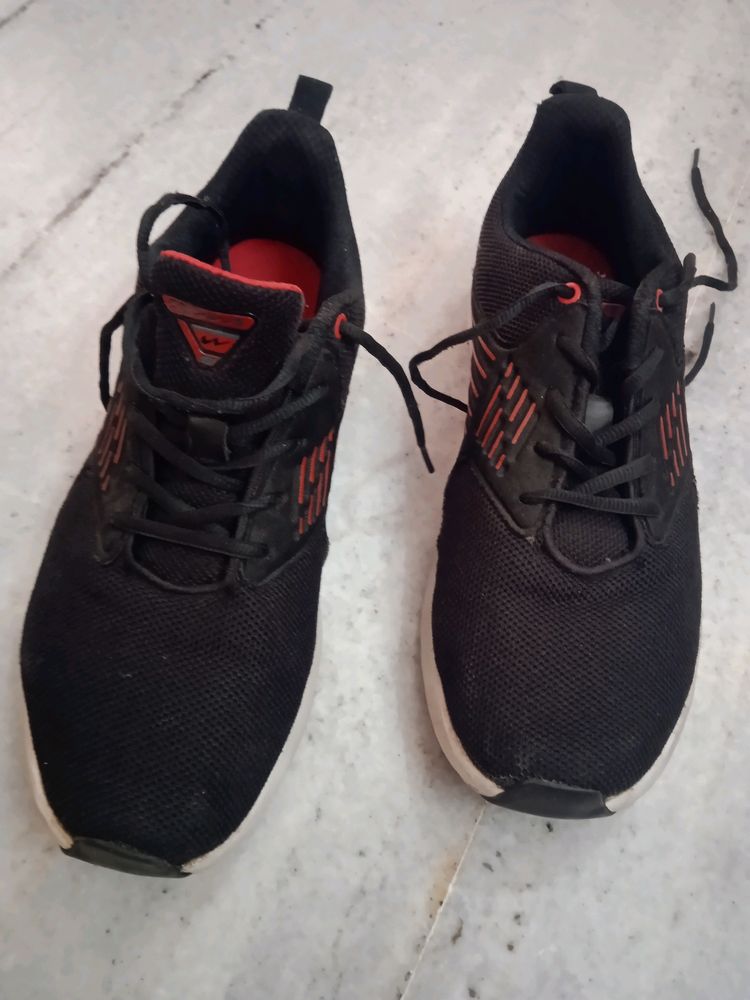 Campus Sport Shoes In Good Condition