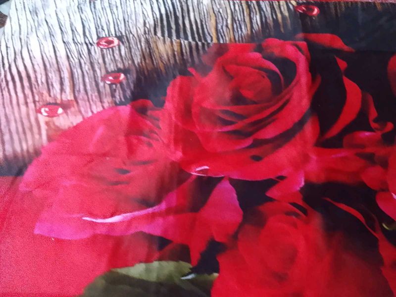 Vibrant Rose Print velvet bedsheet with pillows