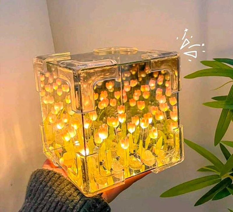 🏮⊹.˚[Tulip Flower Cube Night Light]