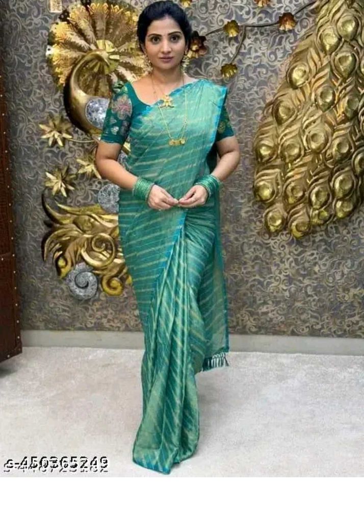 Braso Saree With Designer Blouse