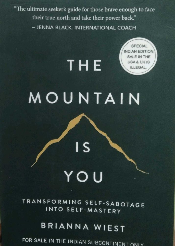 The Mountain Is You Book