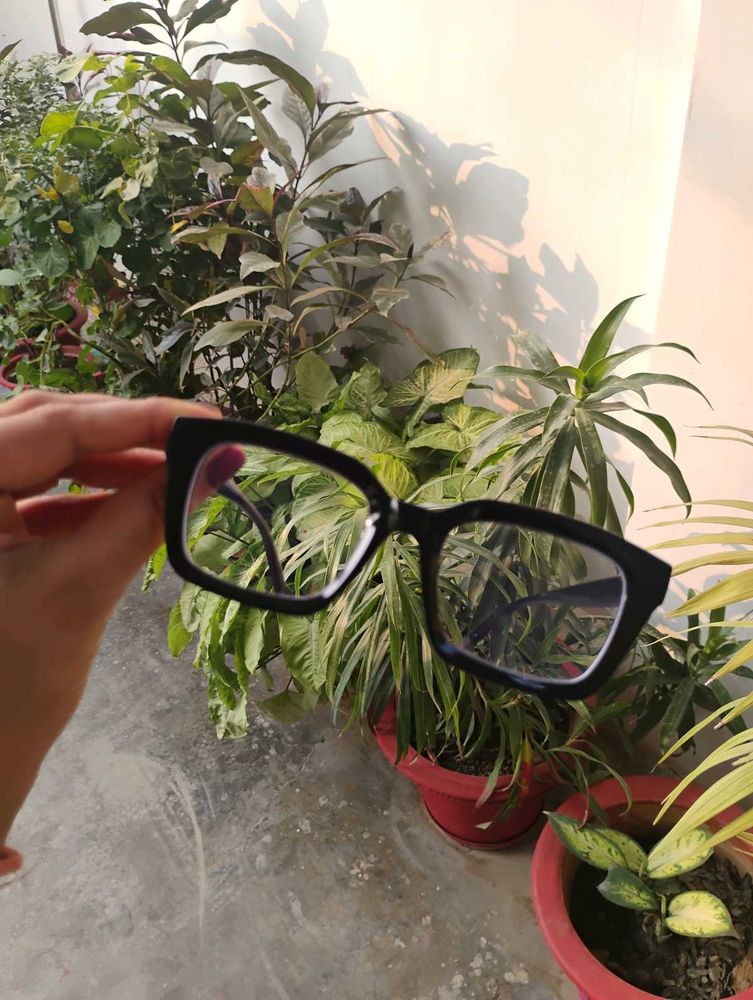 Stylish Black Frame Eyeglasses