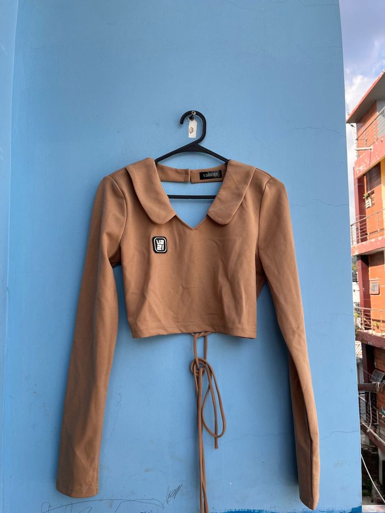 Brown Long Sleeve Cropped Top