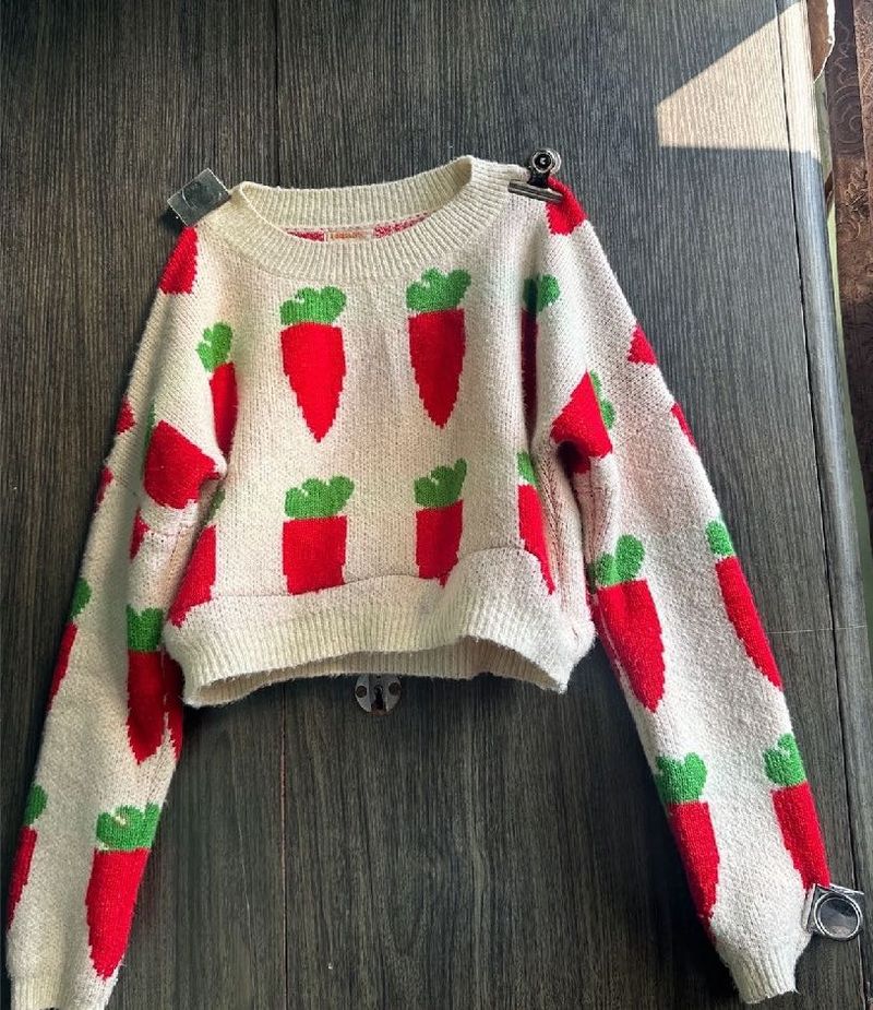Cute Carrot Print Sweater