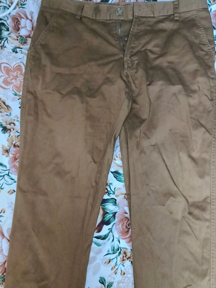 New Brown Formal Chinos
