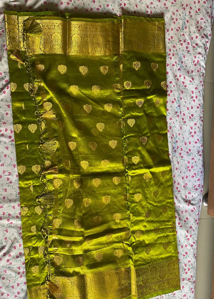 Green Silk Saree with Golden Border