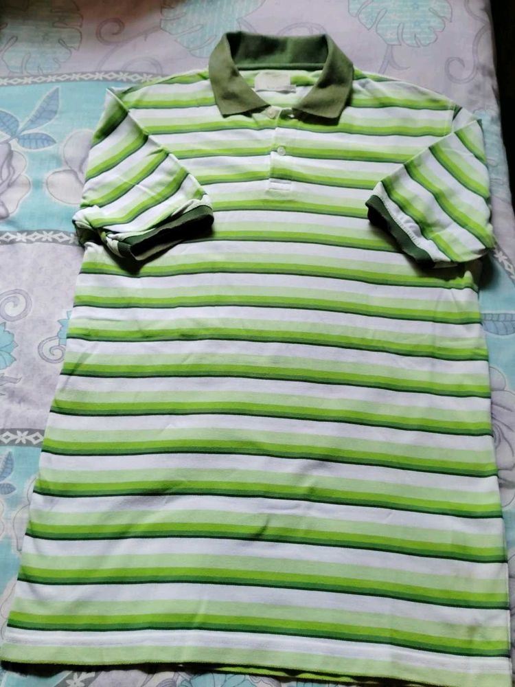 Striped Polo Shirt