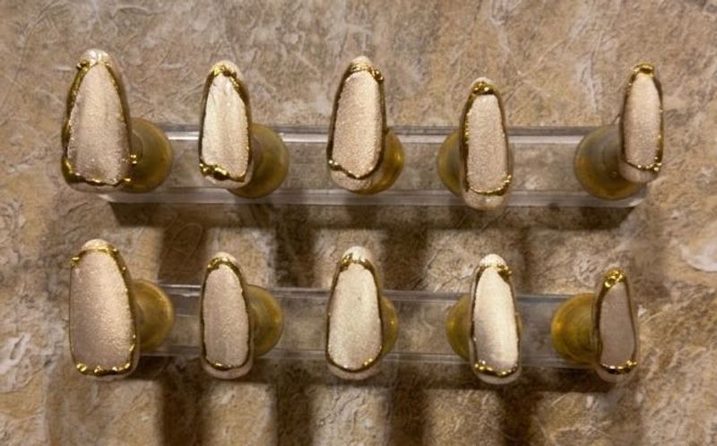 Designer Press-On Nails with Gold Accent