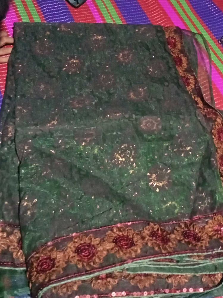 Elegant Green Embellished Saree