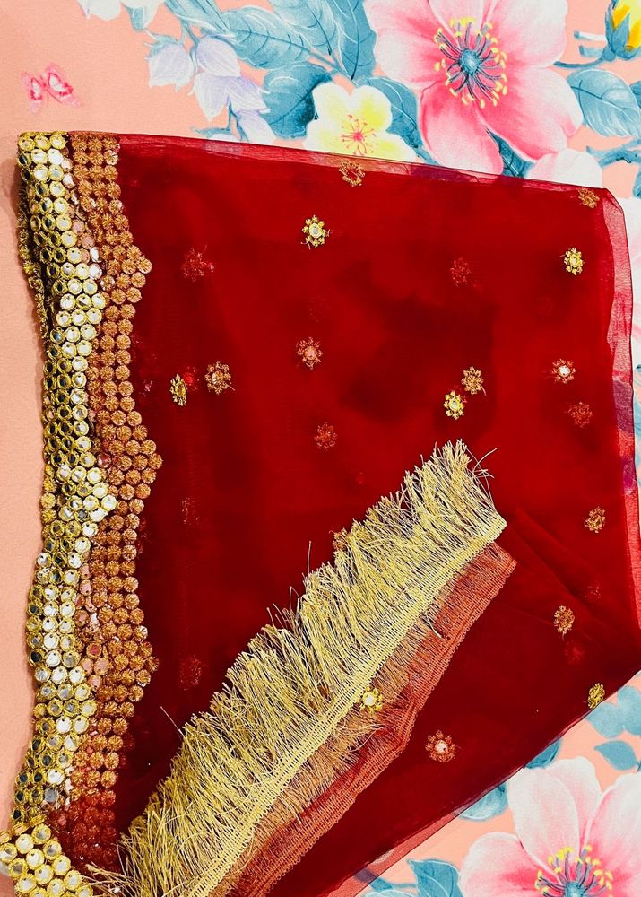 Stunning Red Embellished Dupatta