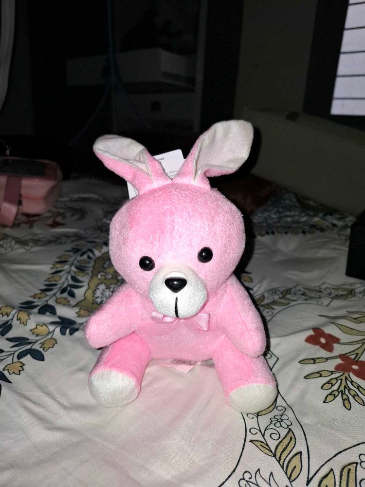 Cute Pink Teddy Bear with Bunny Ears