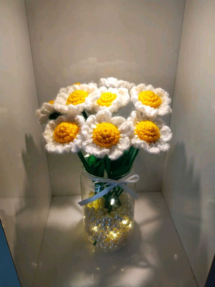 1 daisy for 99 rupees only 🌼