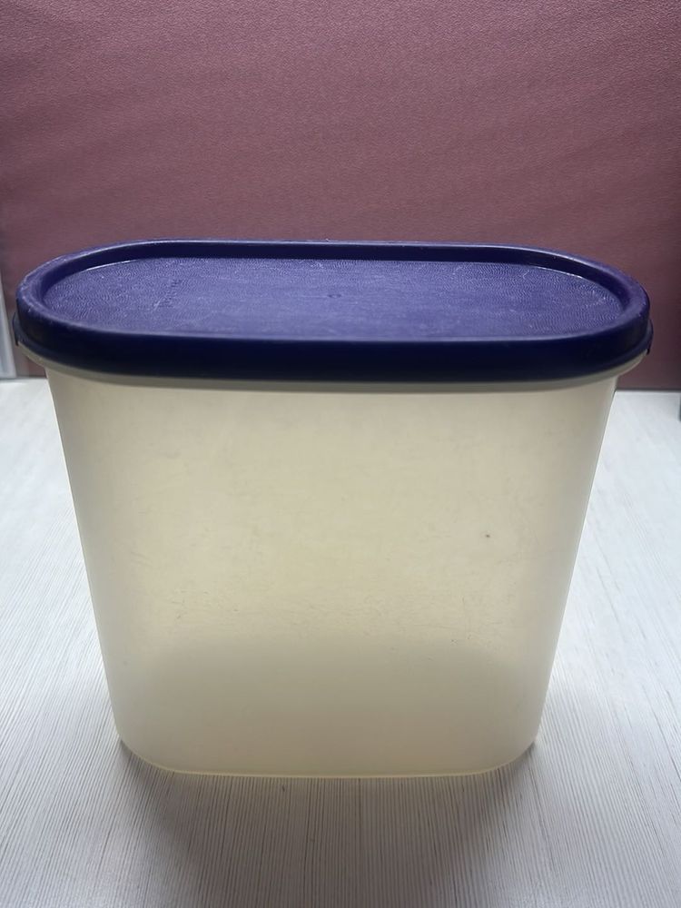 Tupperware Plastic Food Container with Lid
