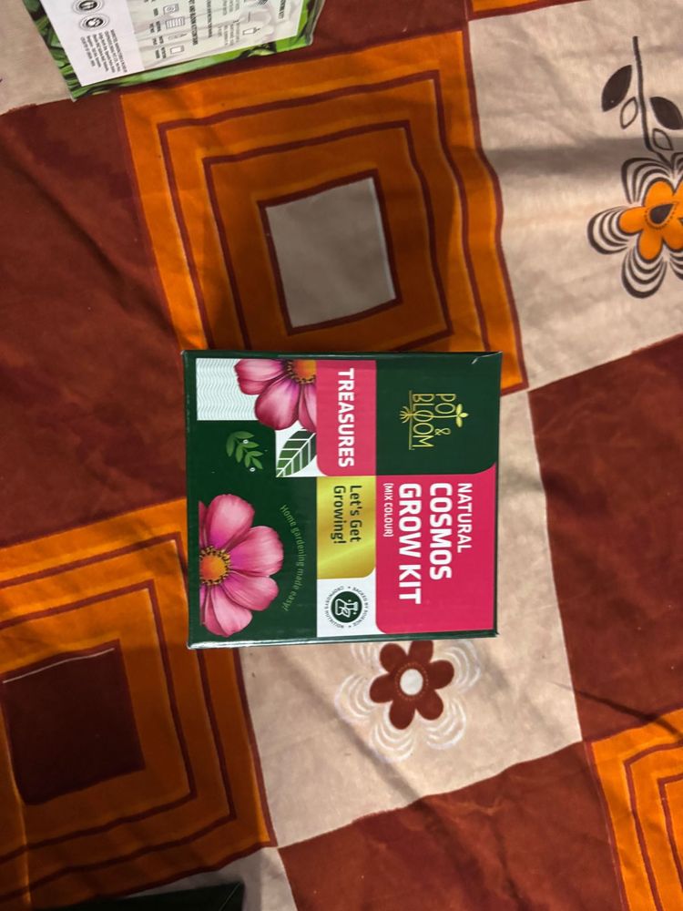 Cosmos Grow Kit