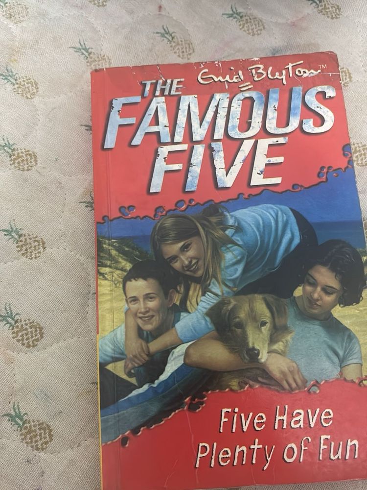 The Famous Five: Five Have Plenty of Fun
