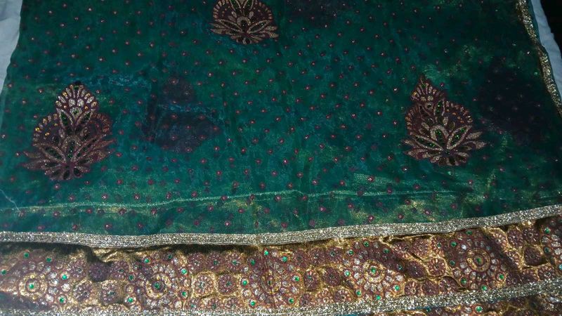 Elegant Green Embellished saree