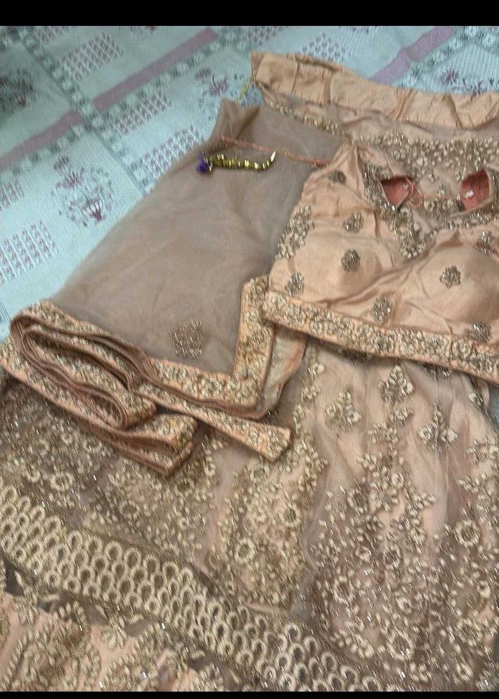 elegant lehnga choli