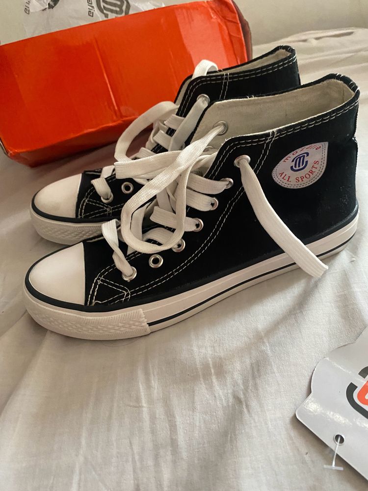 Brand new Mozafia Converse