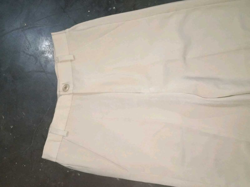 Classic Beige Casual Trousers