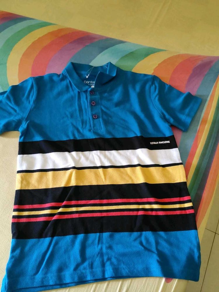 Striped Blue Polo T-Shirt