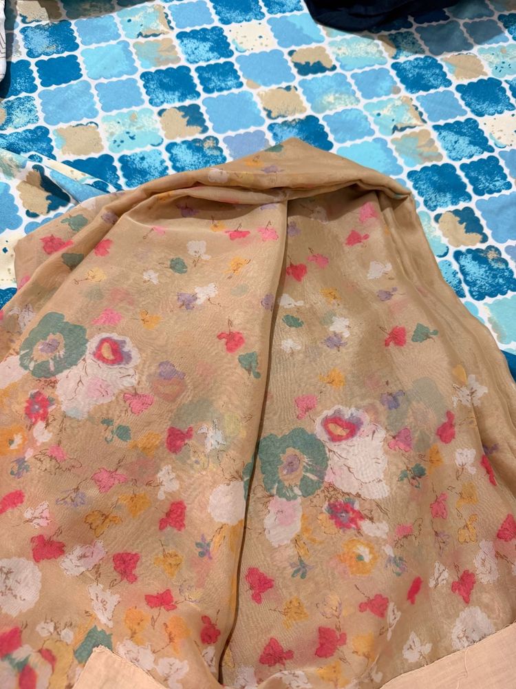 Sheer Floral Print Saree