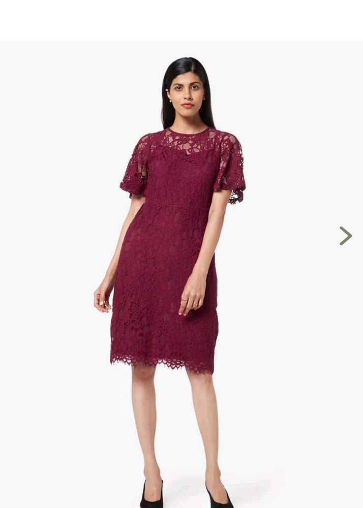 Elegant Lace Dress