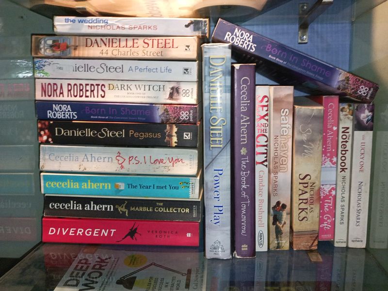 Nicolas Sparks Danielle Steel And Nora Roberts