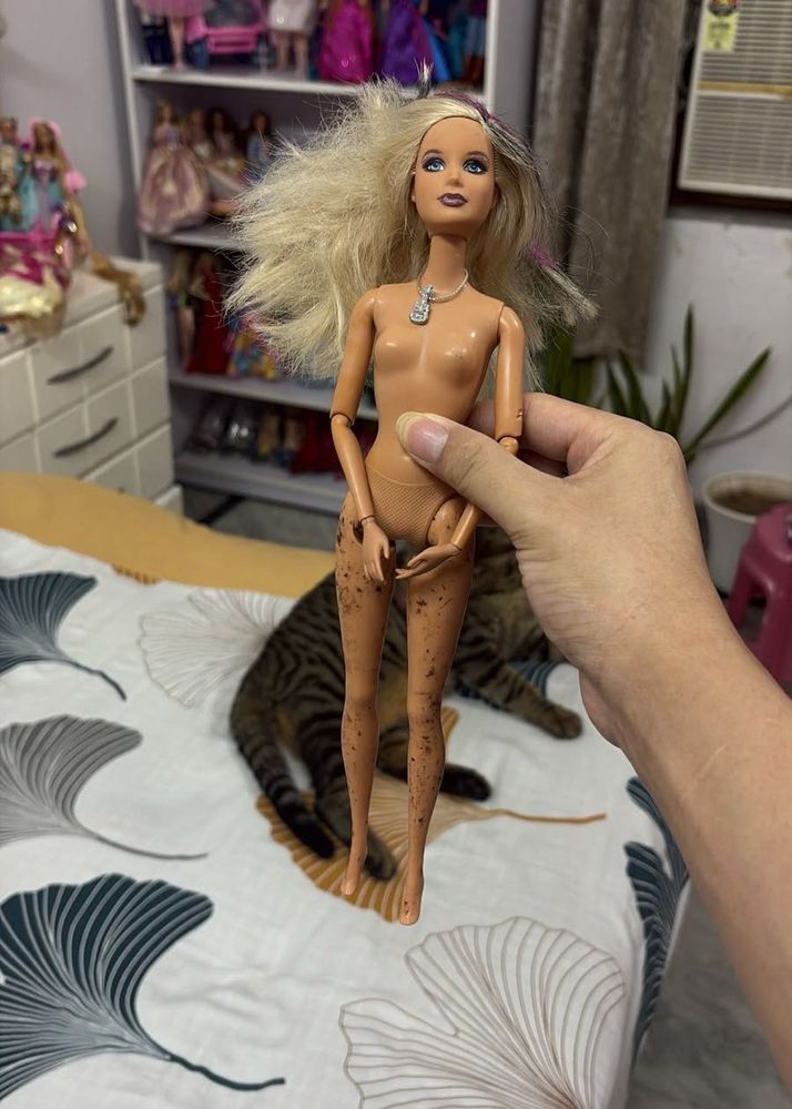 Barbie Doll - Ready for New Adventures