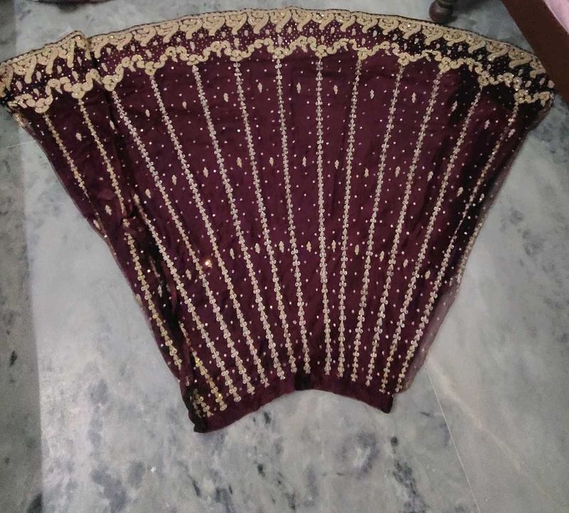 Exquisite Embroidered Lehenga Skirt with dupatta