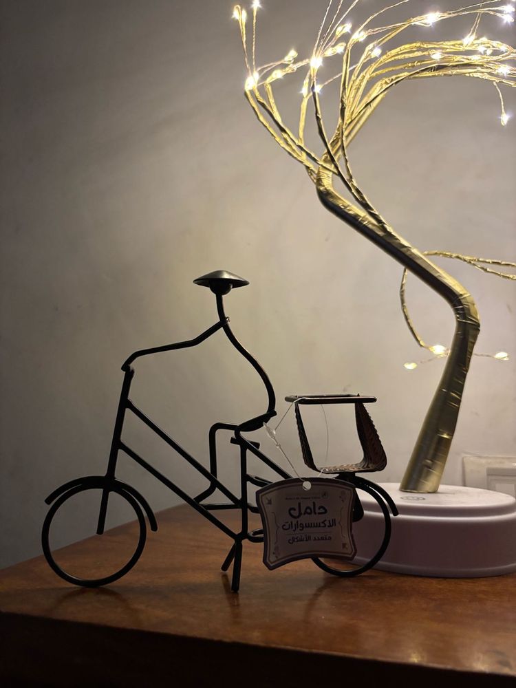 Unique Metal Bicycle Showpiece