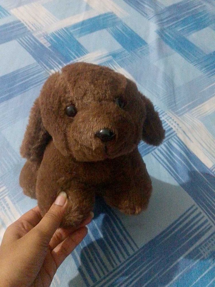 Puppy soft toy