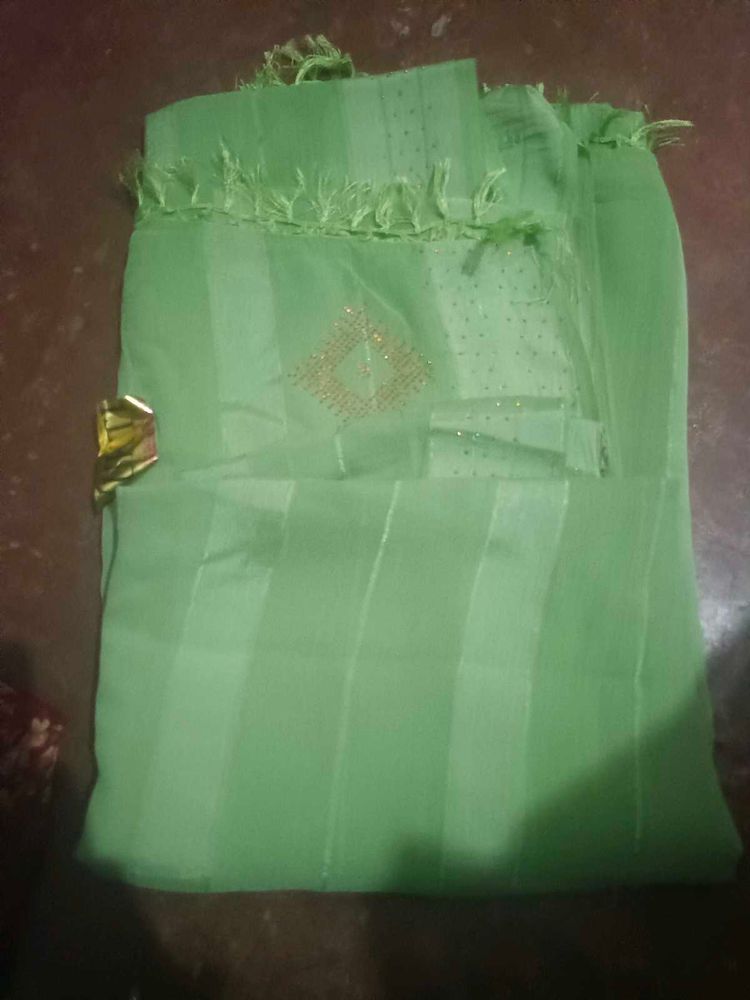 Elegant Light Green Saree