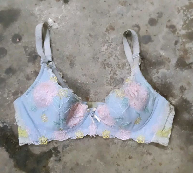 Blue Embroidered Bra