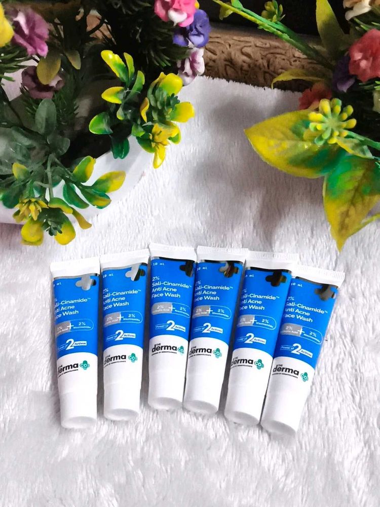 The Derma Co.2% Sali Cinamide Anti Acne Face Wash