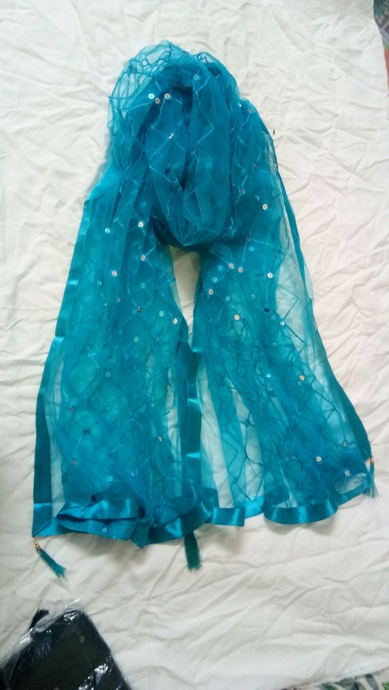 (New) Net Embroidered Dupatta ( pack of 1 )