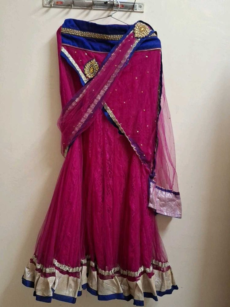 Pink Embellished Lehenga Choli